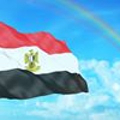 Mohammad Hamdy Salem