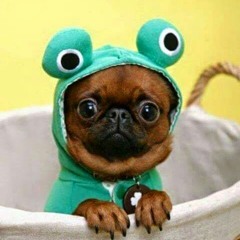 Luna Belen La Stosic