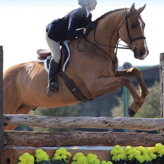 Rachael Tinka Ternés