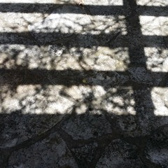 monochromaticperceptions