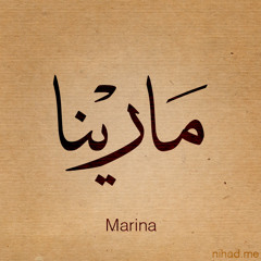Rina M Mousa