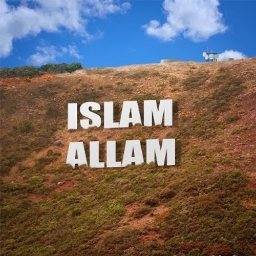 Islam Allam’s avatar