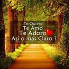 Los campeones del barrio