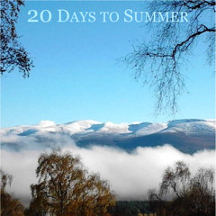 20 Days to Summer