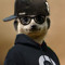 Dj Ameercat