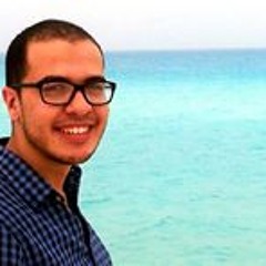 Kareem Abdelsattar