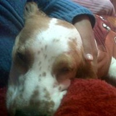 Cinthia Tumpay Susaya