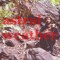 astral weather