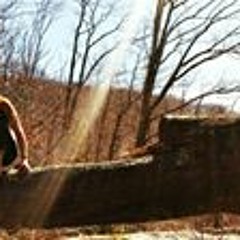 Taylor Lyne Reynolds