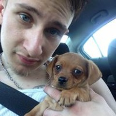 Clint Westwood Gross