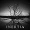 Inertia