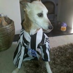 Em Magpie Amigo Watson