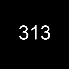 Three-One-Three