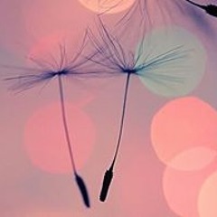 The Holy Bible - Book 66 - Revelation - KJV Dramatized Audio