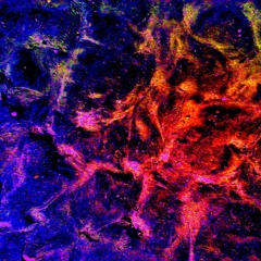 Grant Nebel at The Solute