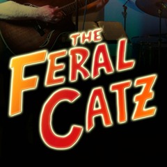 Feral Catz