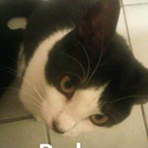 Stream Tyson Tyrone Miranda Jr. music | Listen to songs, albums