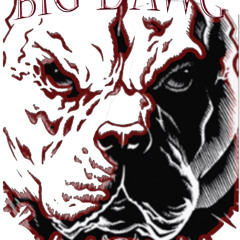 Big Dawg Ent.