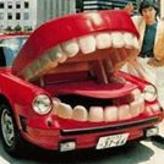 Mohamed Buckley Elshafie