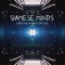 Siamese Minds