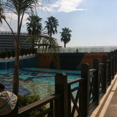 Thierry Guillaume Collard