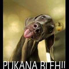 Elba Reihana-Ngatote