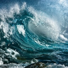 indie music - erica's collection