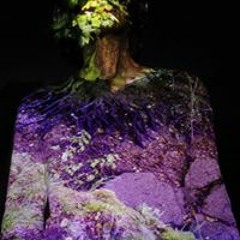 Ingenieur Neifenrock