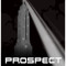 Prospect Empire Marketing and Management
