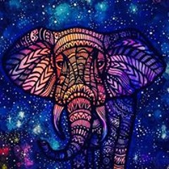 Paloma Castillo Vergara