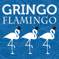 Gringo Flamingo