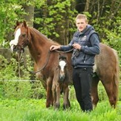 Jan Andre Kittelstad