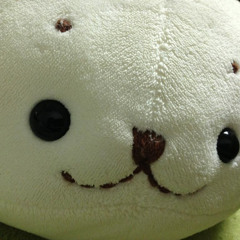Matsui.K