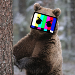 Bearly Alive