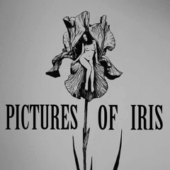 Pictures of Iris-band