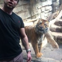 Brandon Guy Gianopoulos