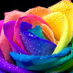 rrainbowhair