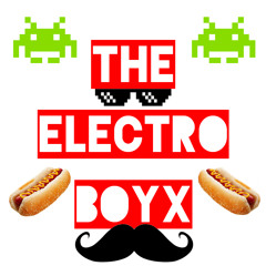 TheElectroBoyX