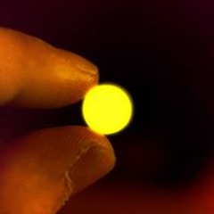 Leonard Menchiari Lenny