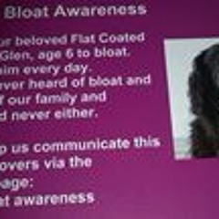 Michelle Rayson Turner