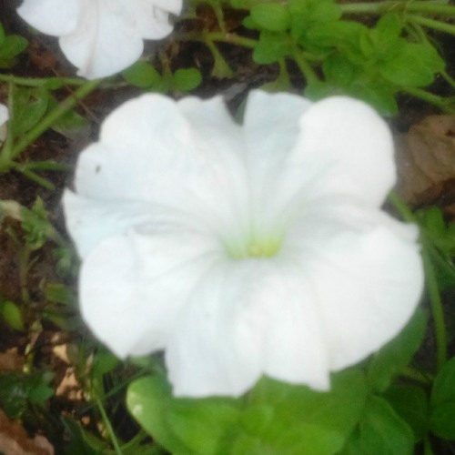 A Beautiful Piece at Ye Kaisi jagah (Hamari Adhuri Kahani)