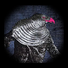noisedetector