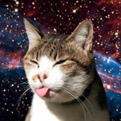 Samuel Alexander Bagel