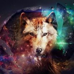 Miouzy Longwolfshadow