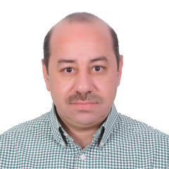 Alaa Shahin