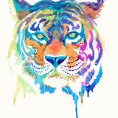 Tigersrox01