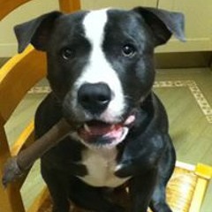 Jason 'Derulo' Rodney