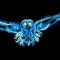 Indigo Owl