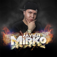 Mirko Javier B