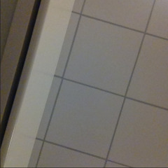 Rr01